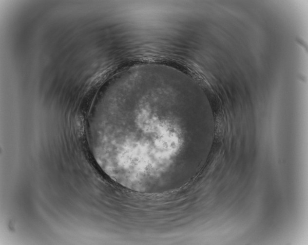 X0000096470043200802141708