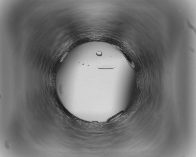 X0000096470044200802141708