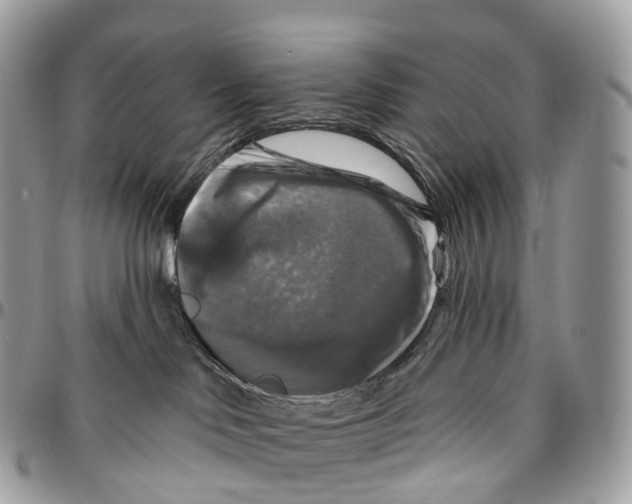 X0000096470046200802141708