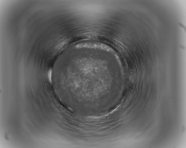 X0000096470047200802141708