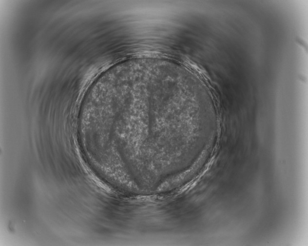 X0000096470049200802141707