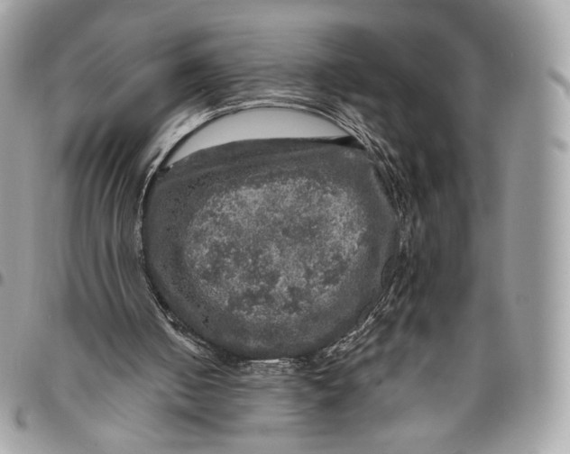 X0000096470050200802141707