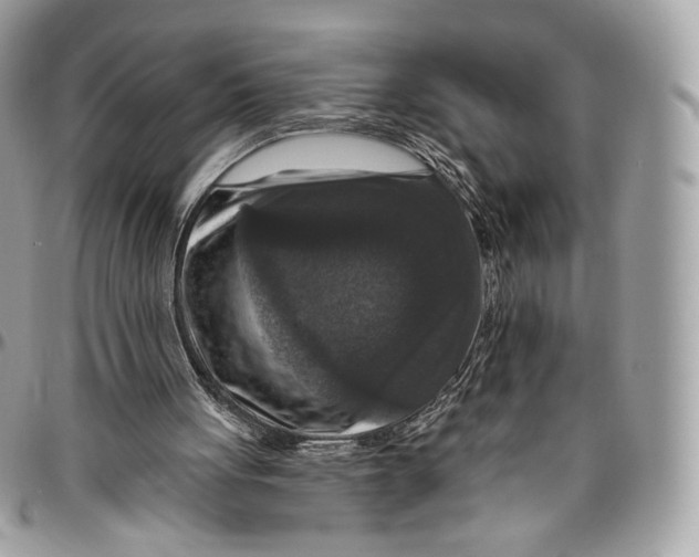 X0000096470051200802141707