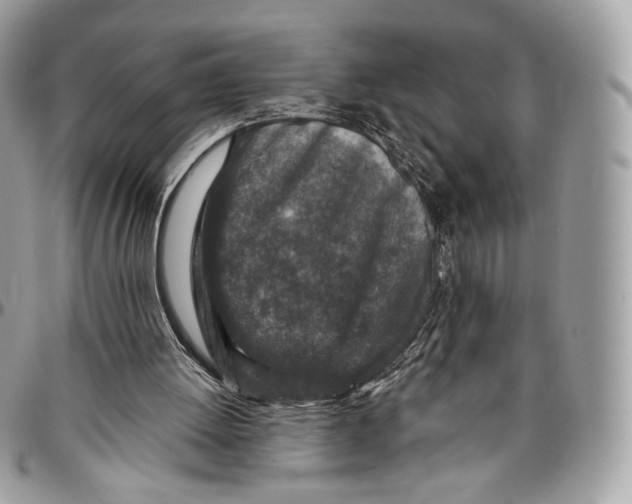 X0000096470052200802141707