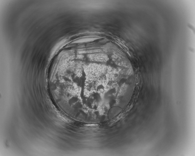 X0000096470053200802141707