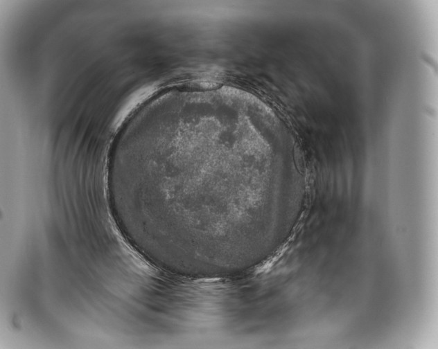 X0000096470054200802141707