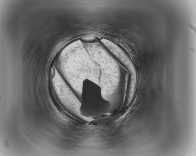 X0000096470055200802141707