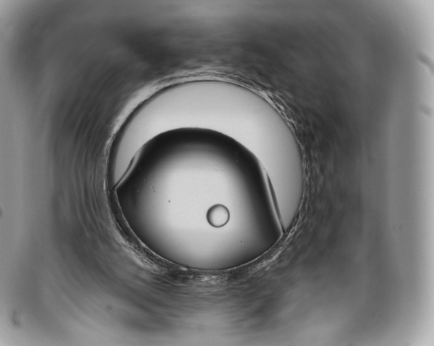 X0000096470056200802141707