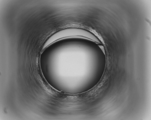 X0000096470057200802141707