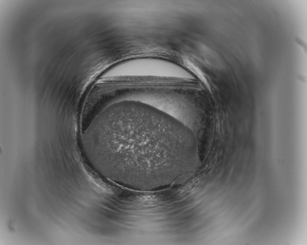 X0000096470059200802141707