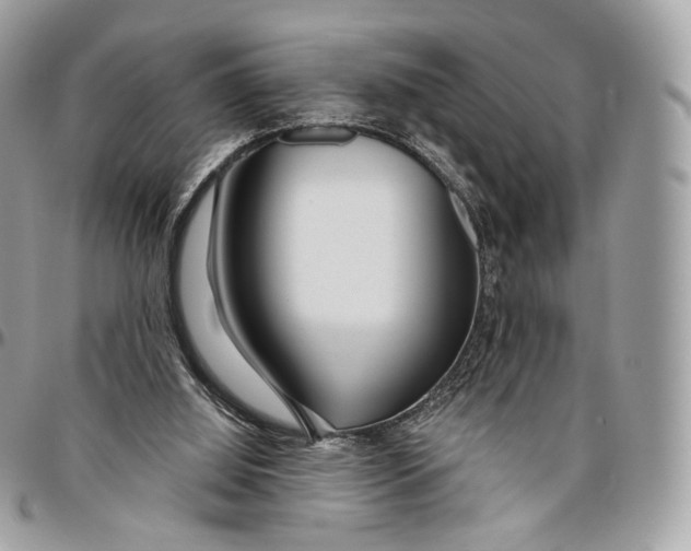 X0000096470060200802141707