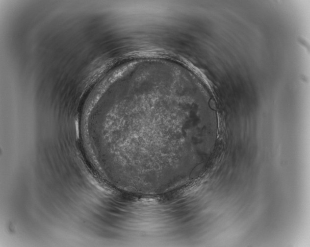 X0000096470061200802141707