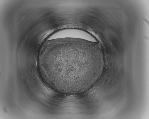 X0000096470062200802141707