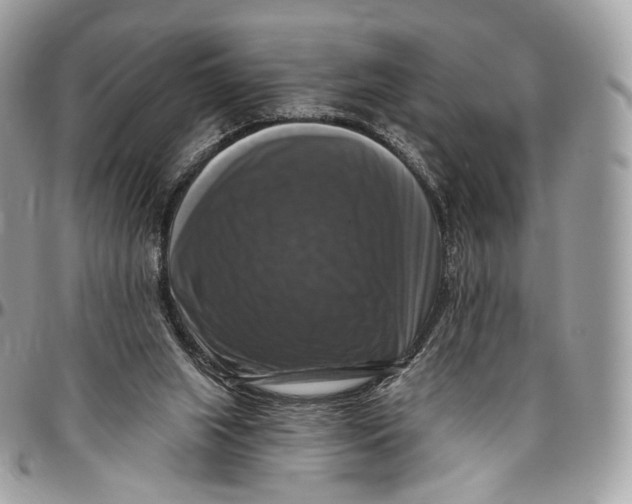 X0000096470063200802141708