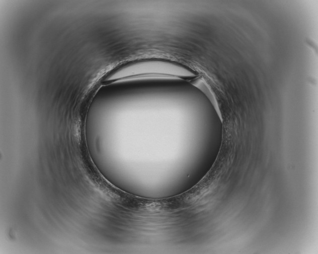 X0000096470064200802141708