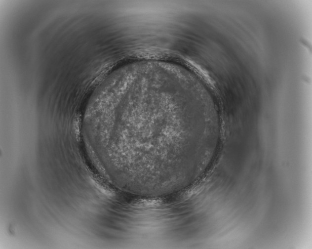 X0000096470065200802141708