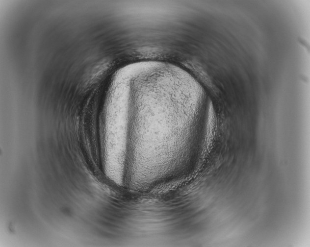 X0000096470066200802141708