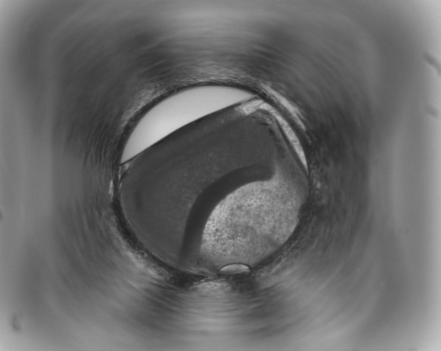 X0000096470067200802141708