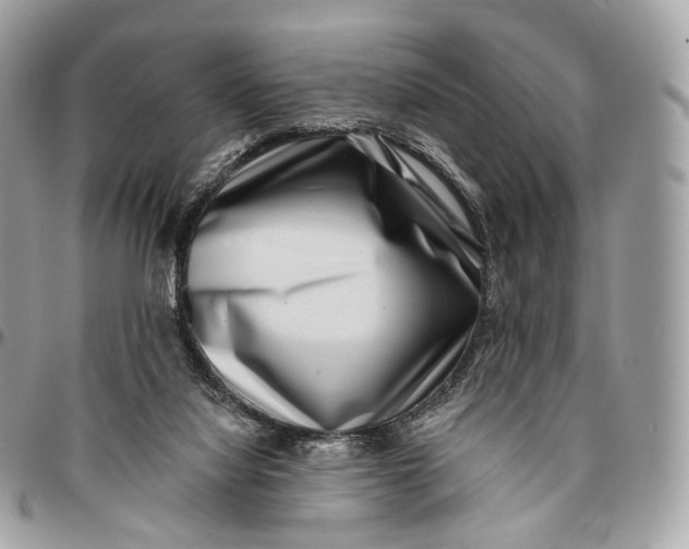 X0000096470068200802141708