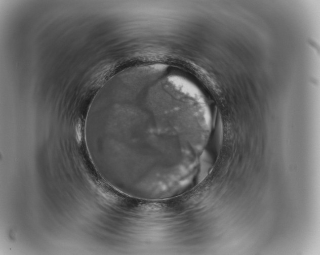 X0000096470069200802141708