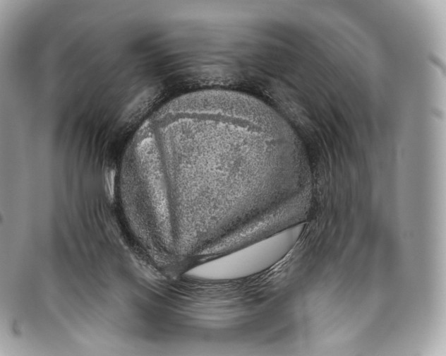 X0000096470070200802141708