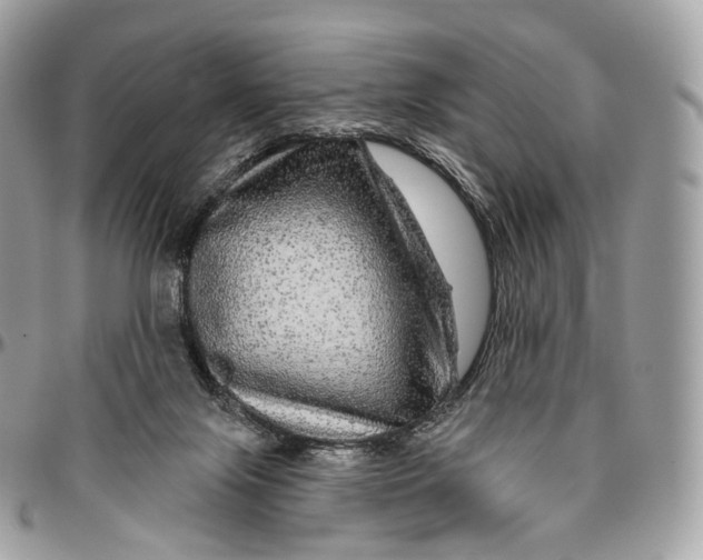 X0000096470071200802141708