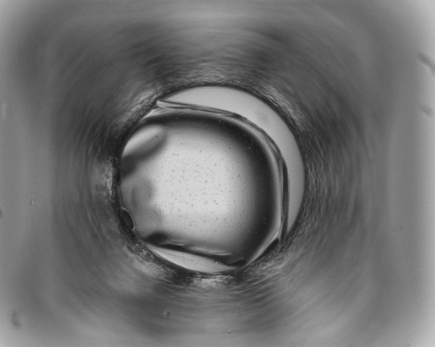 X0000096470072200802141708