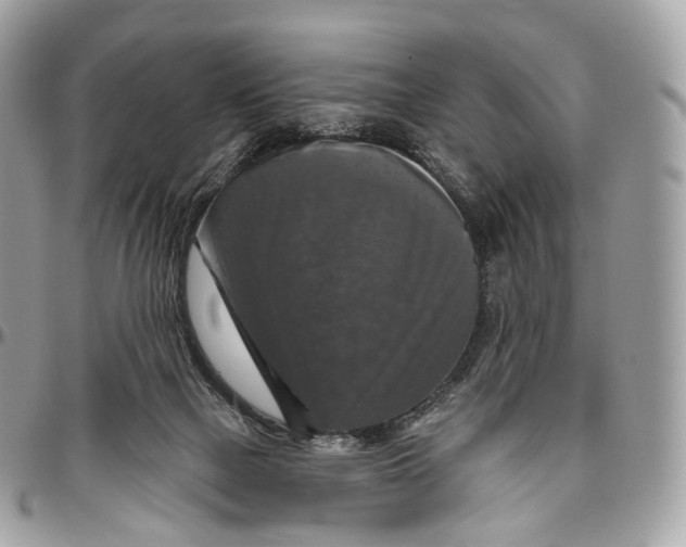 X0000096470073200802141708