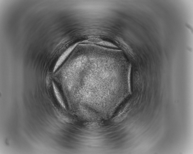 X0000096470074200802141708