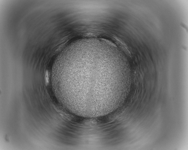 X0000096470075200802141708