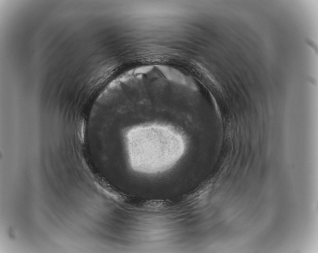 X0000096470076200802141708