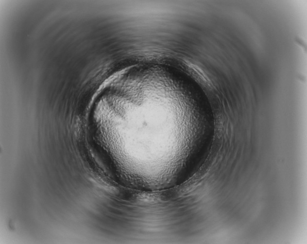 X0000096470077200802141708