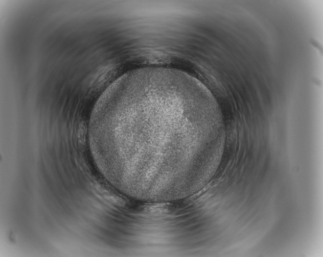 X0000096470078200802141708