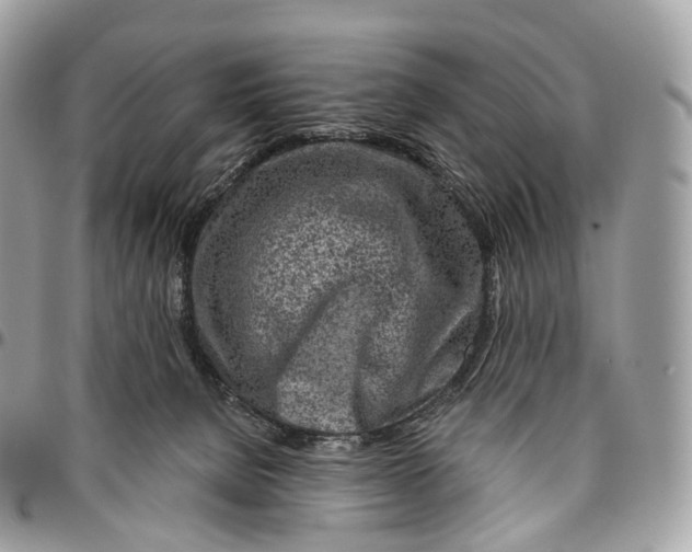 X0000096470080200802141708