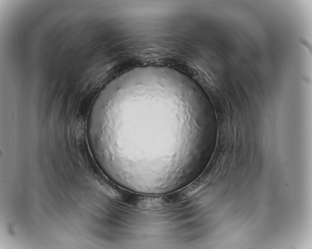 X0000096470081200802141708