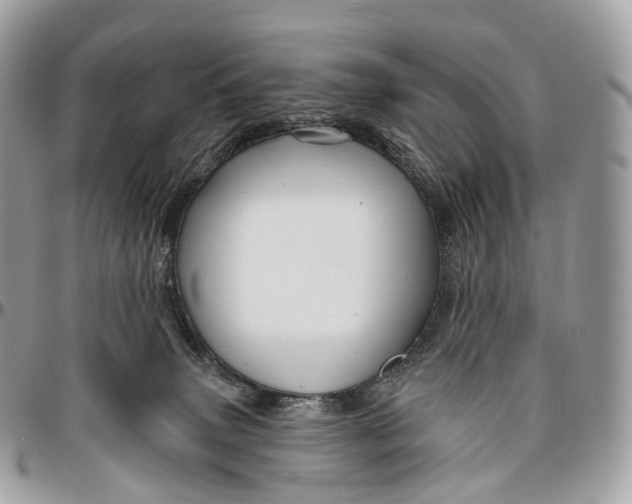 X0000096470083200802141708