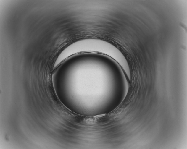 X0000096470084200802141708