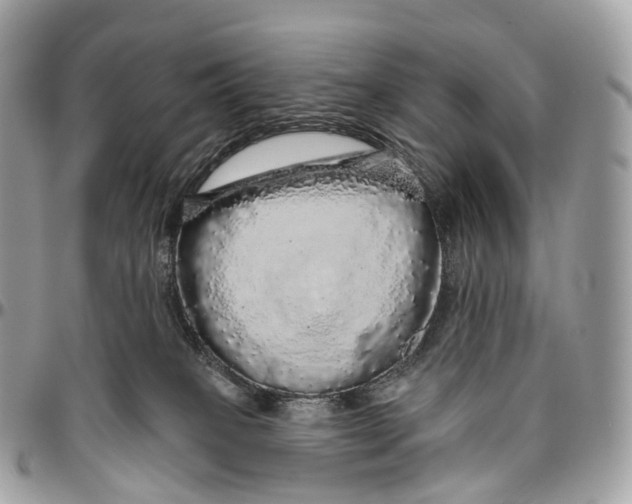 X0000096470085200802141708