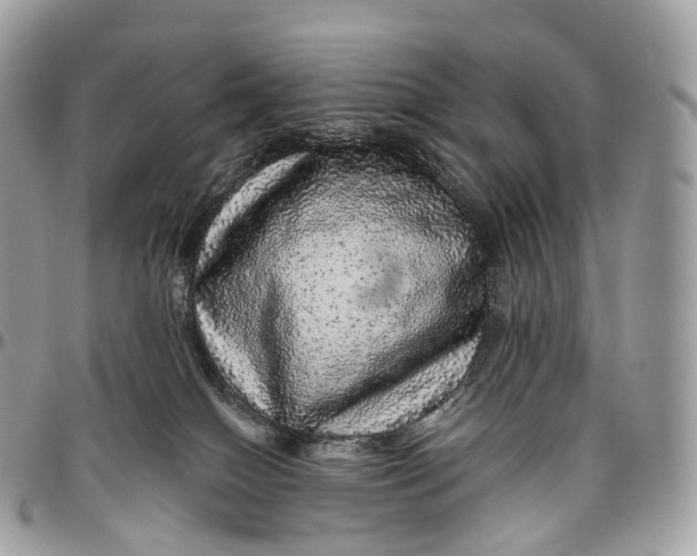 X0000096470086200802141708