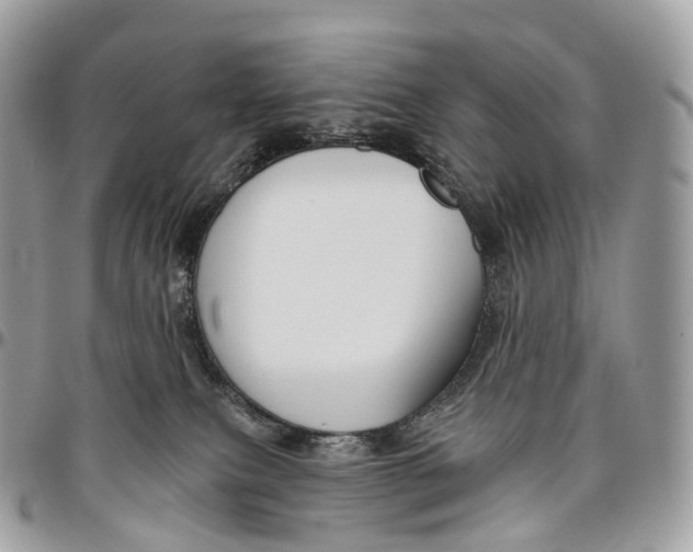 X0000096470087200802141708