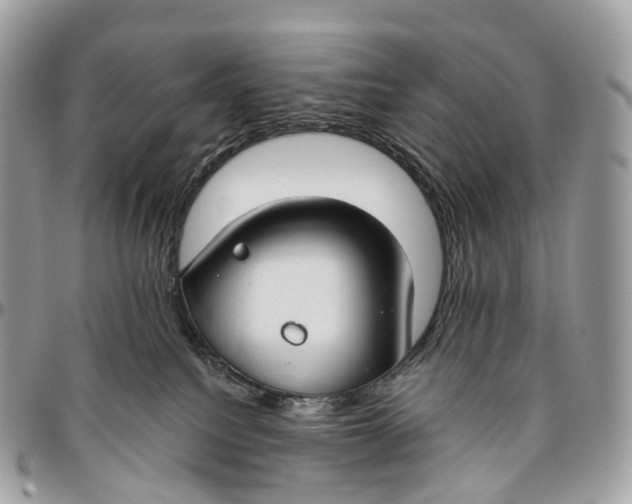 X0000096470088200802141708