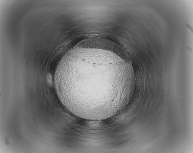 X0000096470089200802141708