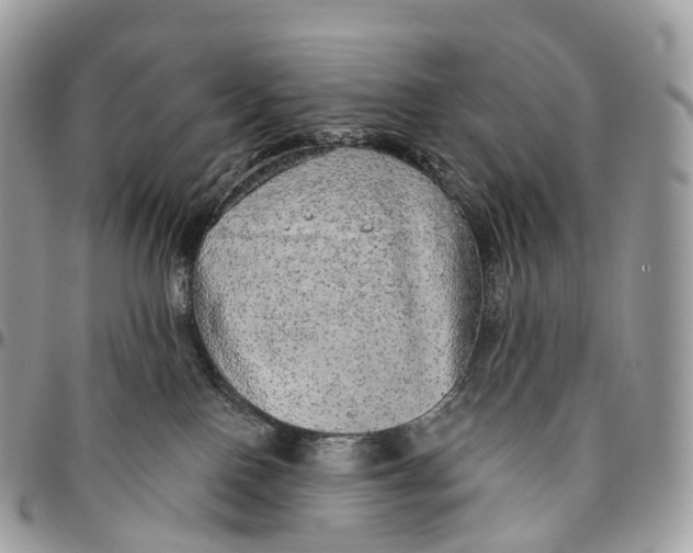 X0000096470090200802141708