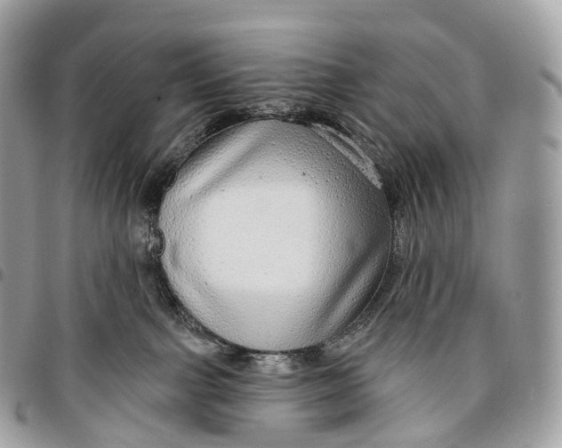 X0000096470091200802141708