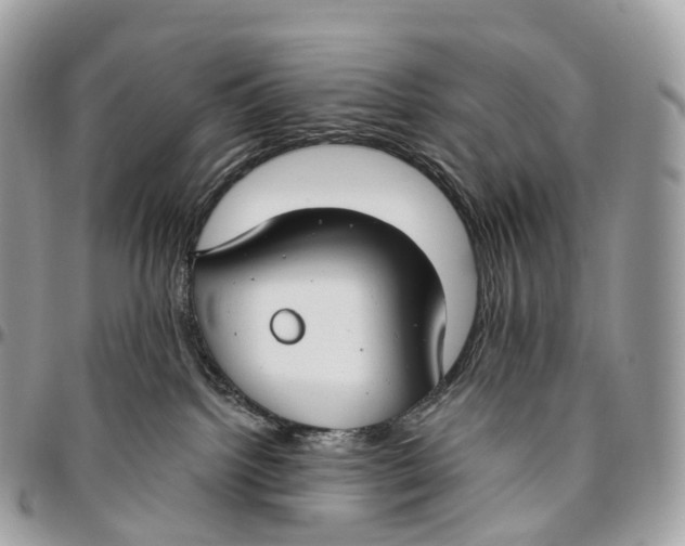 X0000096470092200802141708