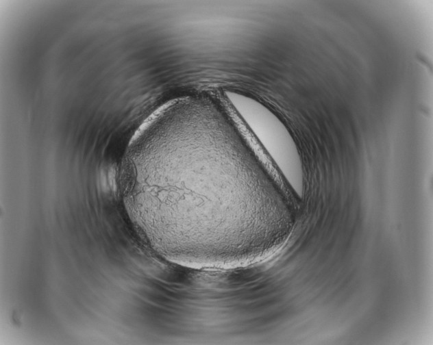 X0000096470094200802141708