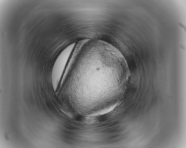 X0000096470095200802141708