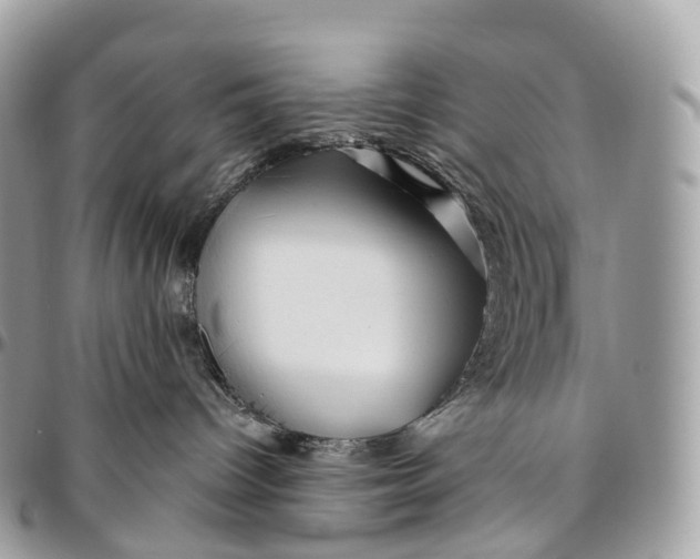 X0000096470096200802141708