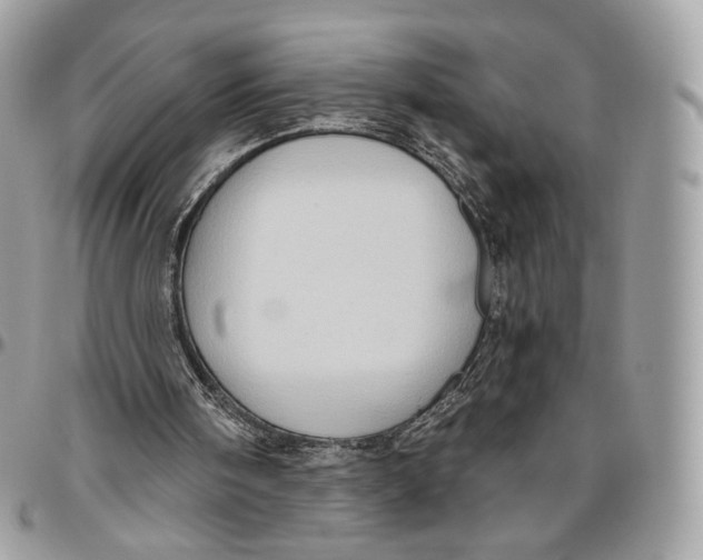 X0000096470098200802141707