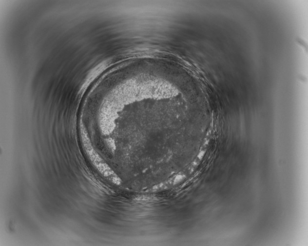 X0000096470099200802141707